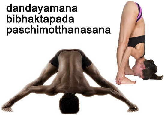 Frente toca suelo, piernas separadas